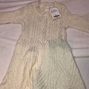 Brand New Sparkle Sweater Dress